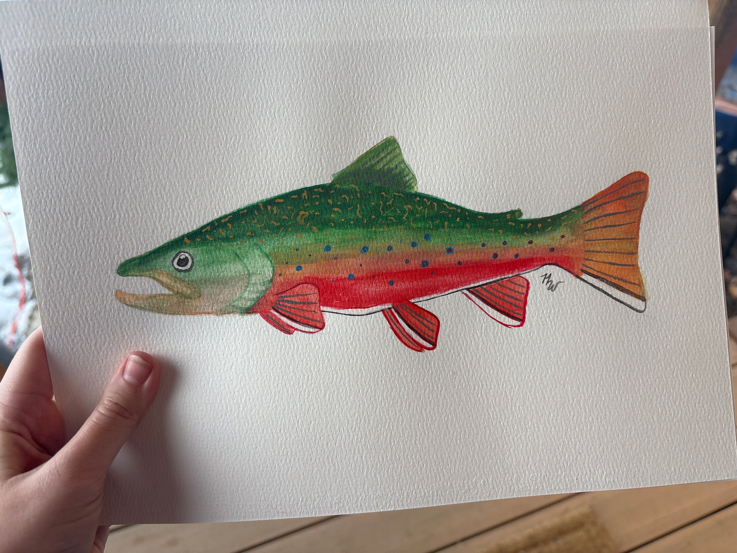 Watercolor Brook Trout