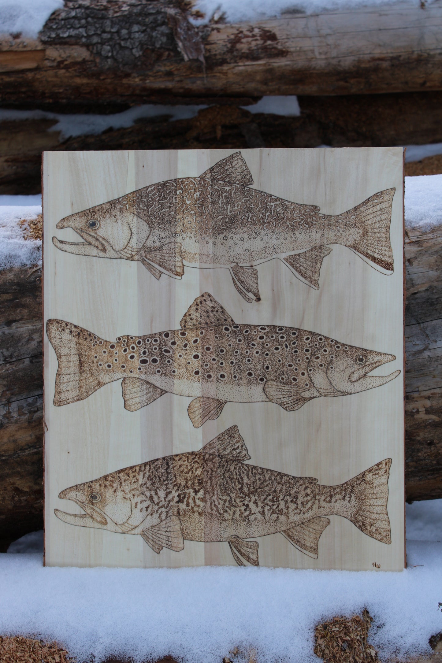 3 Trout Piece