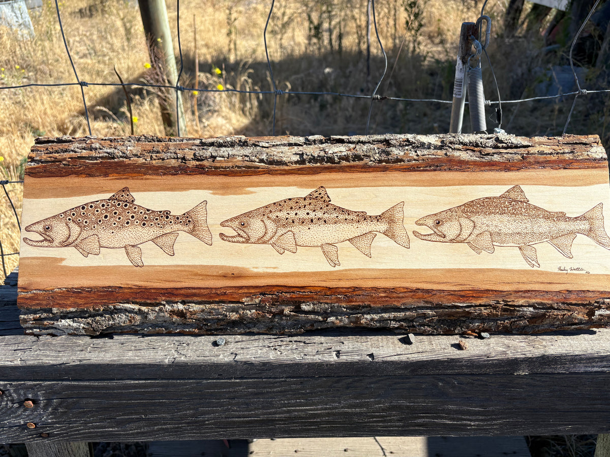 Trout Trio