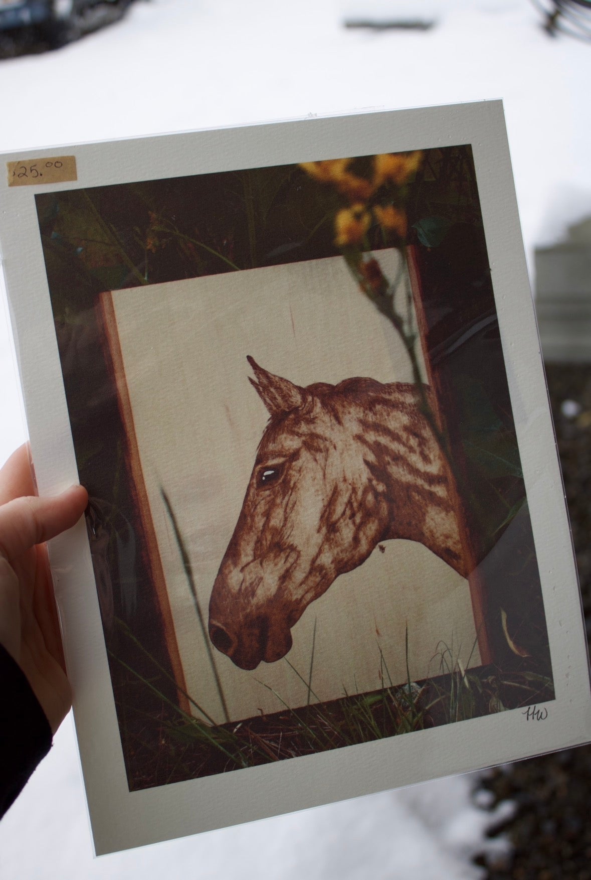 11"x8.5" Art Prints