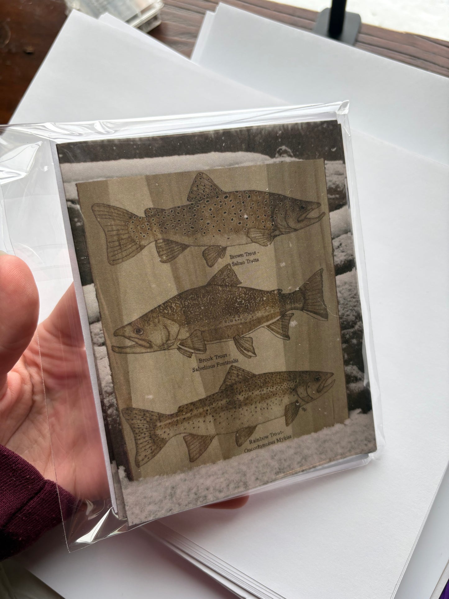 Blank Greeting Cards