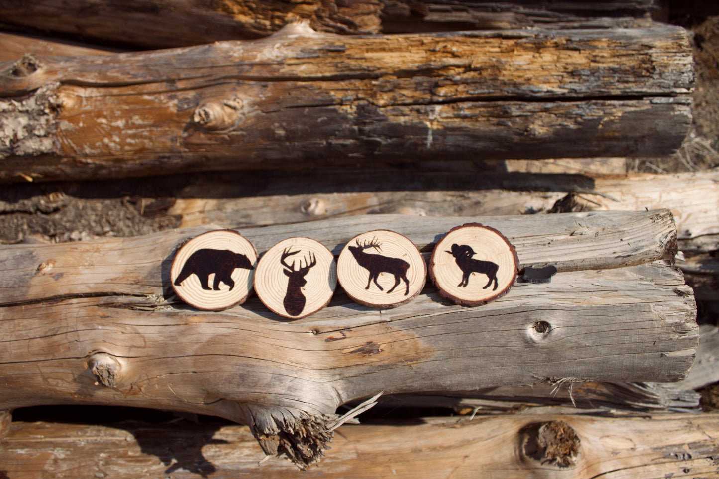 Wildlife Coaster (set of 4)