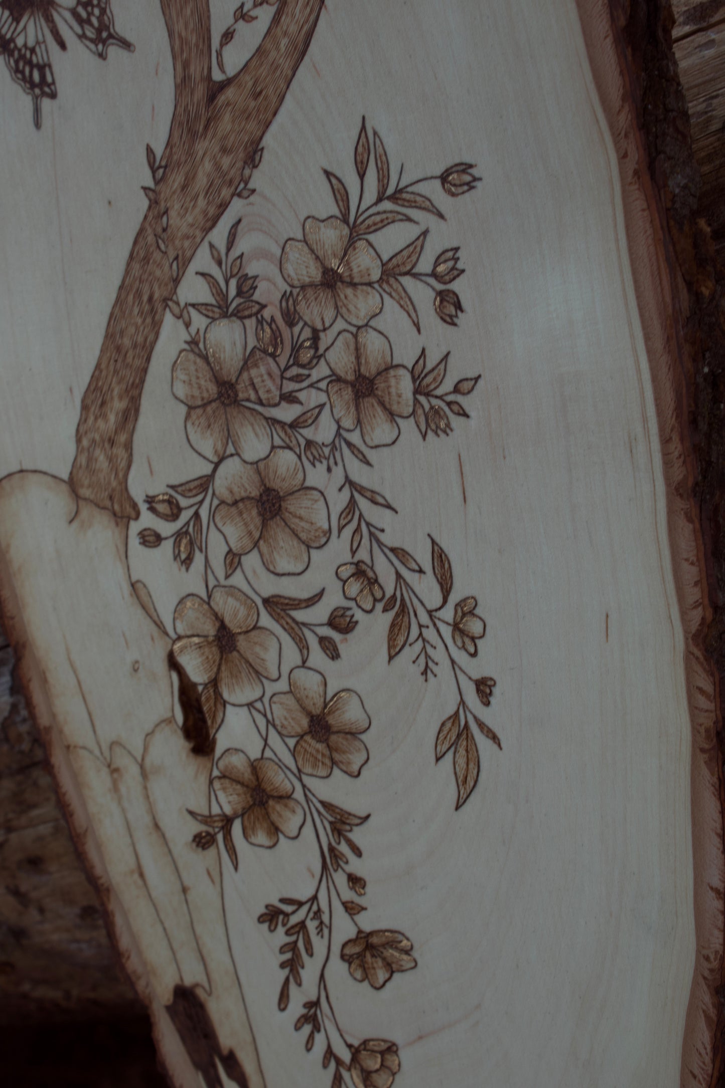 Mule deer skull with florals