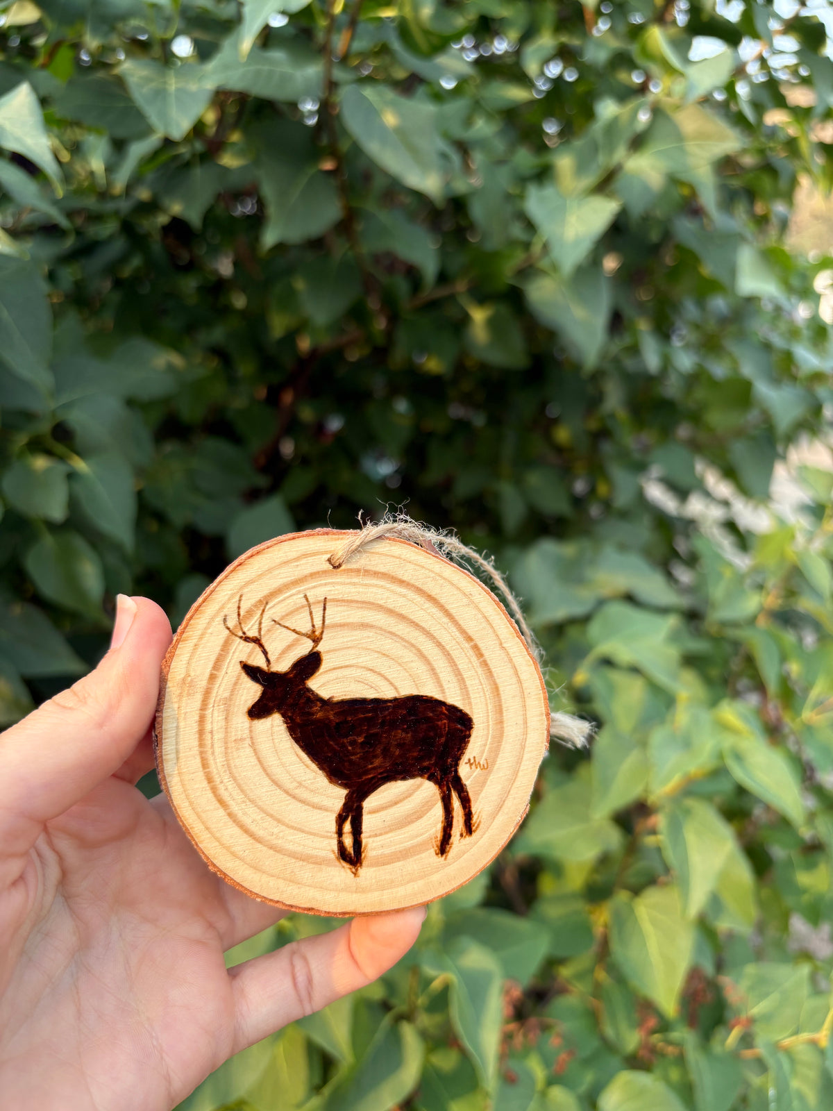 Ornaments- Animal Silhouette