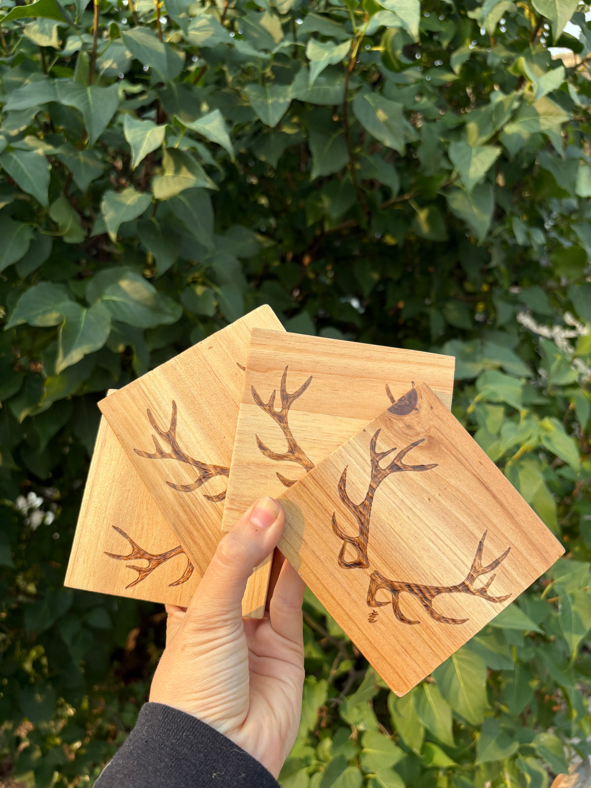 Elk Antler Coaster Set
