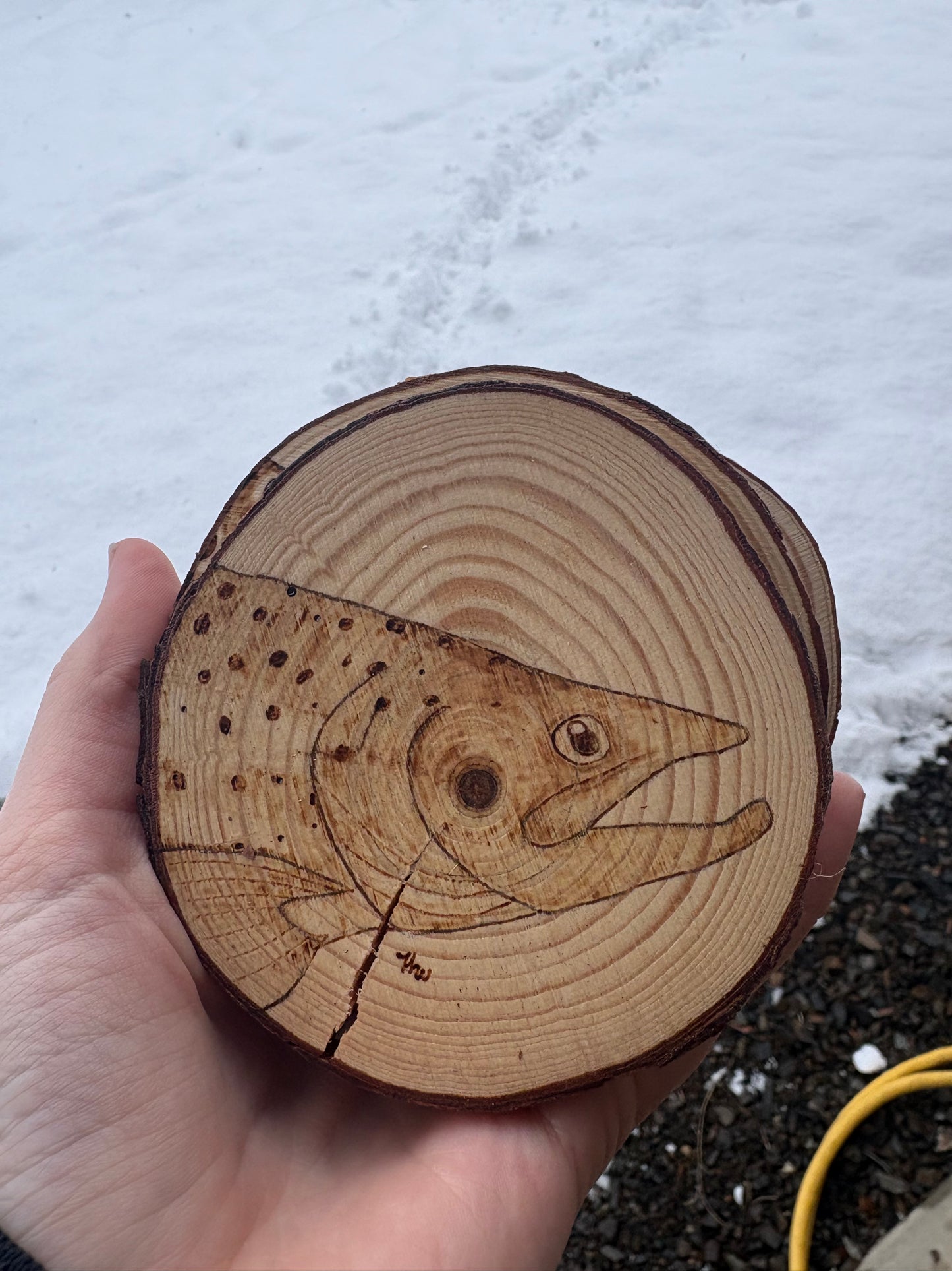 Coasters