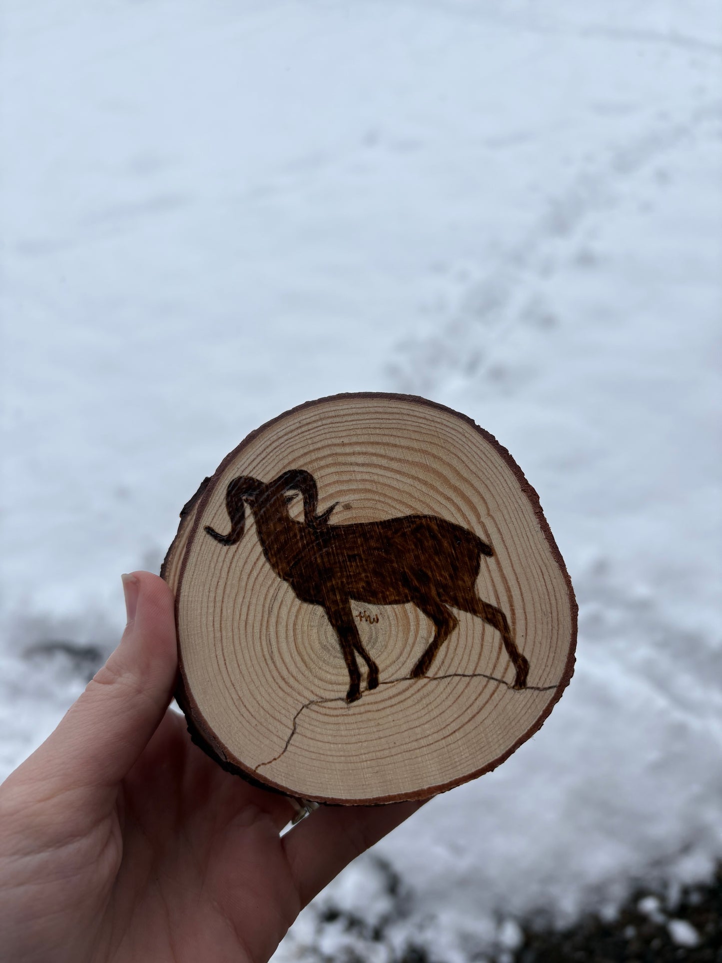 Coasters