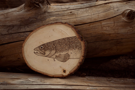 Brown trout face on small round