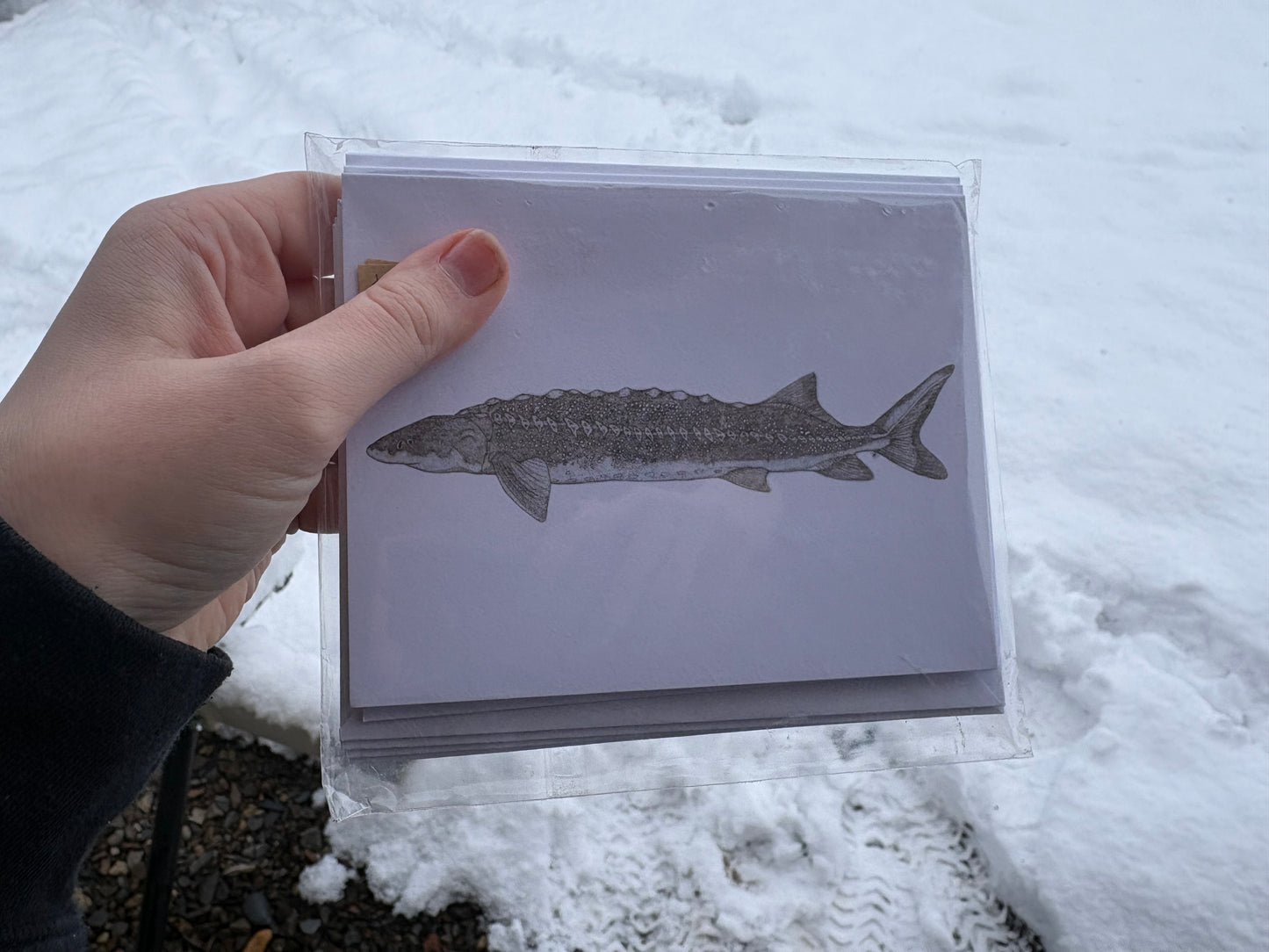 5 Piece Card Set