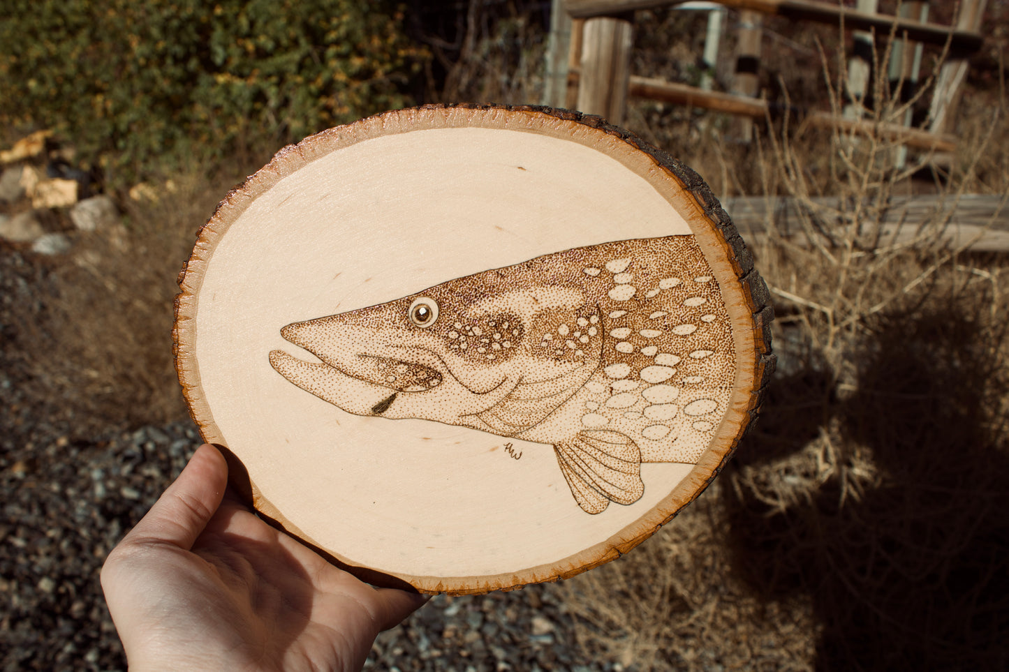 Pike Portrait Pyrography Piece