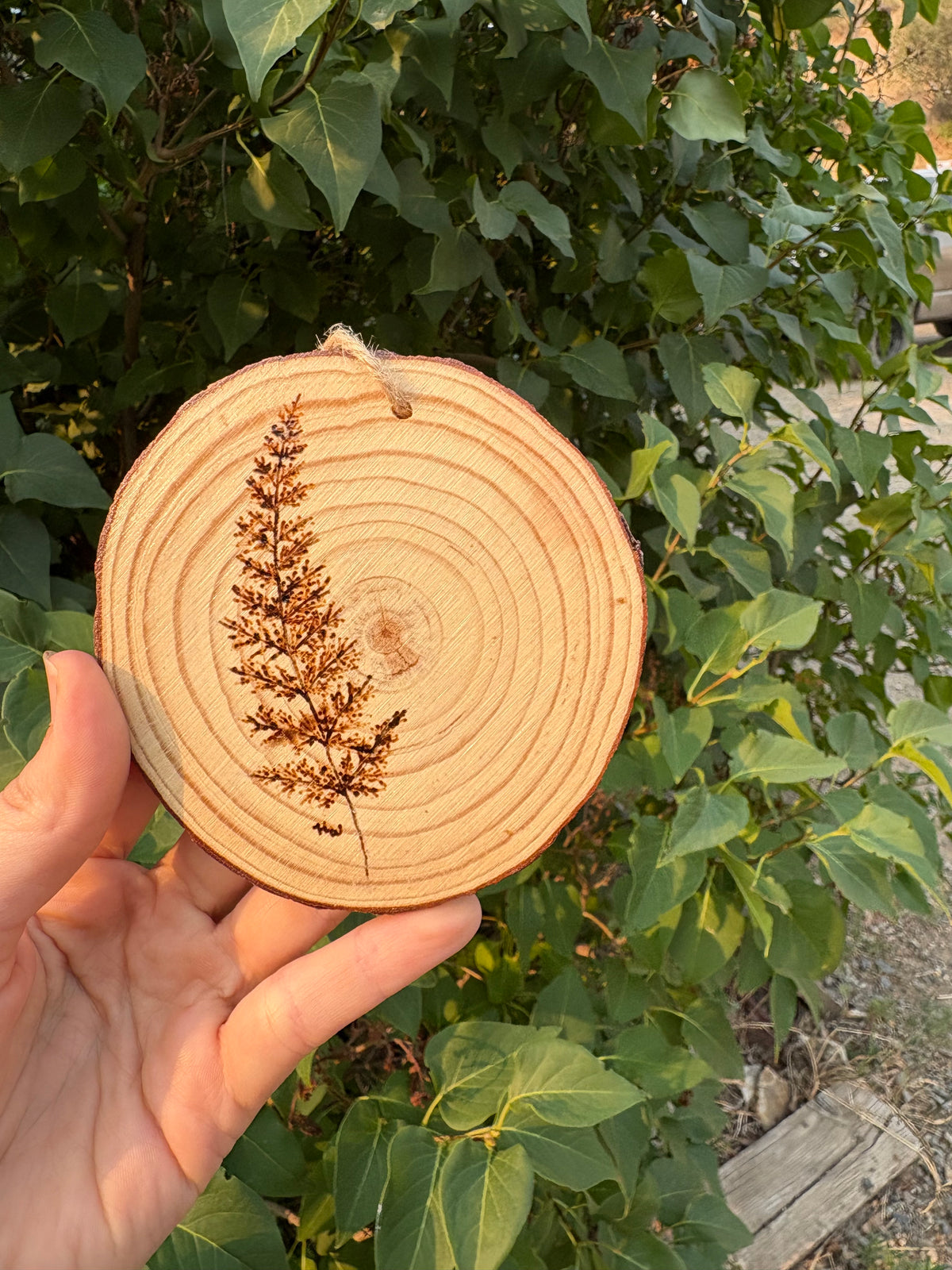Ornaments