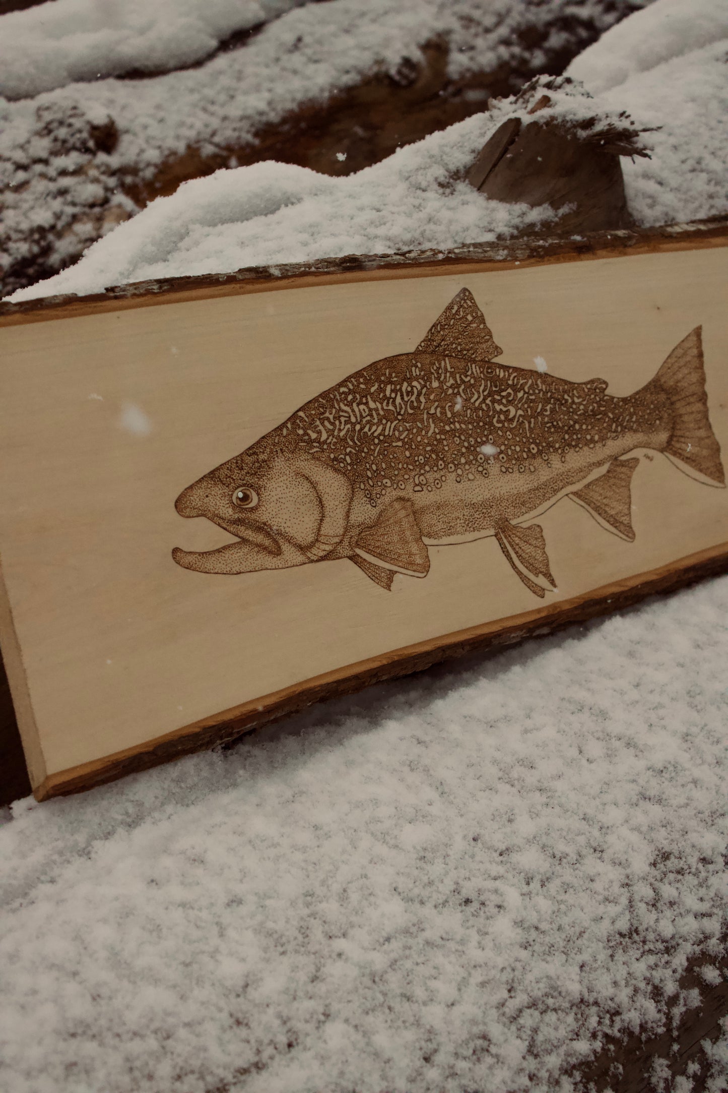Wood Burned Brook Trout