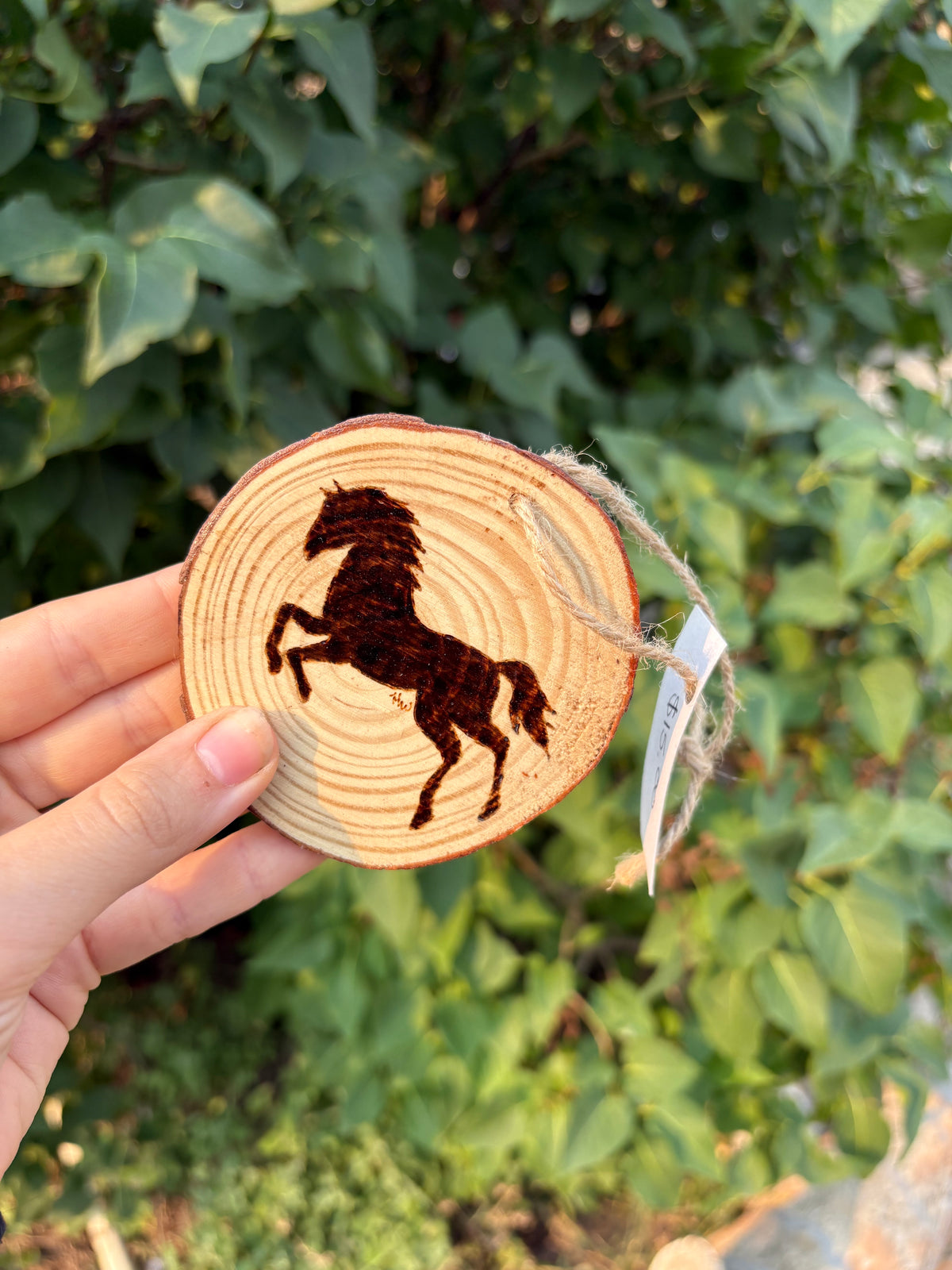 Ornaments- Animal Silhouette