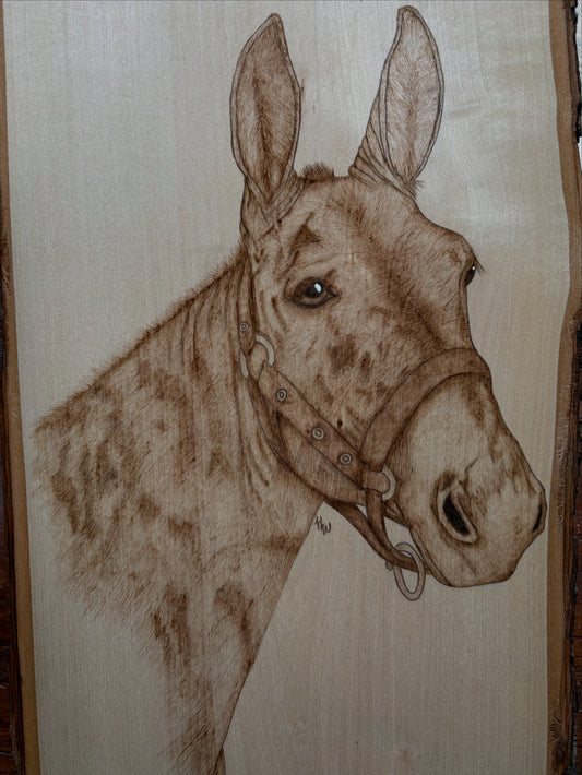 Mule Pyrography Piece