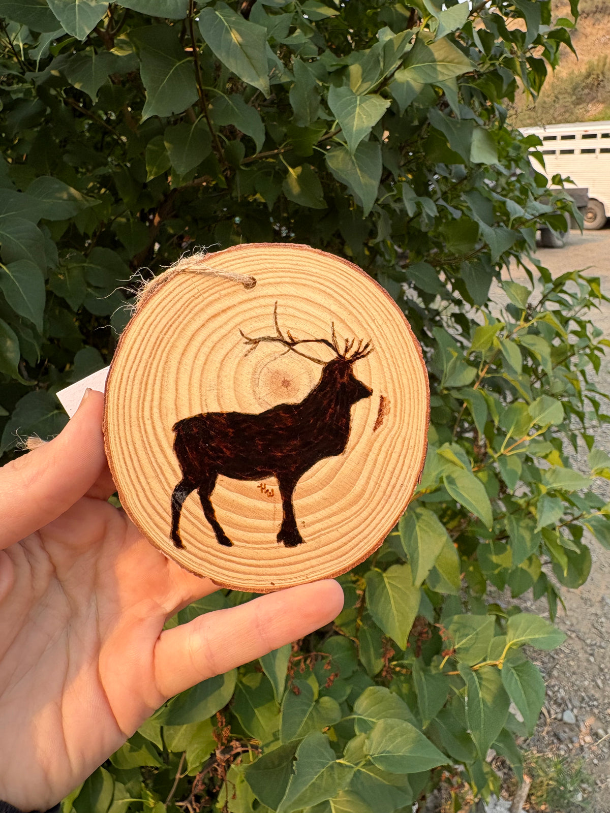 Ornaments- Animal Silhouette