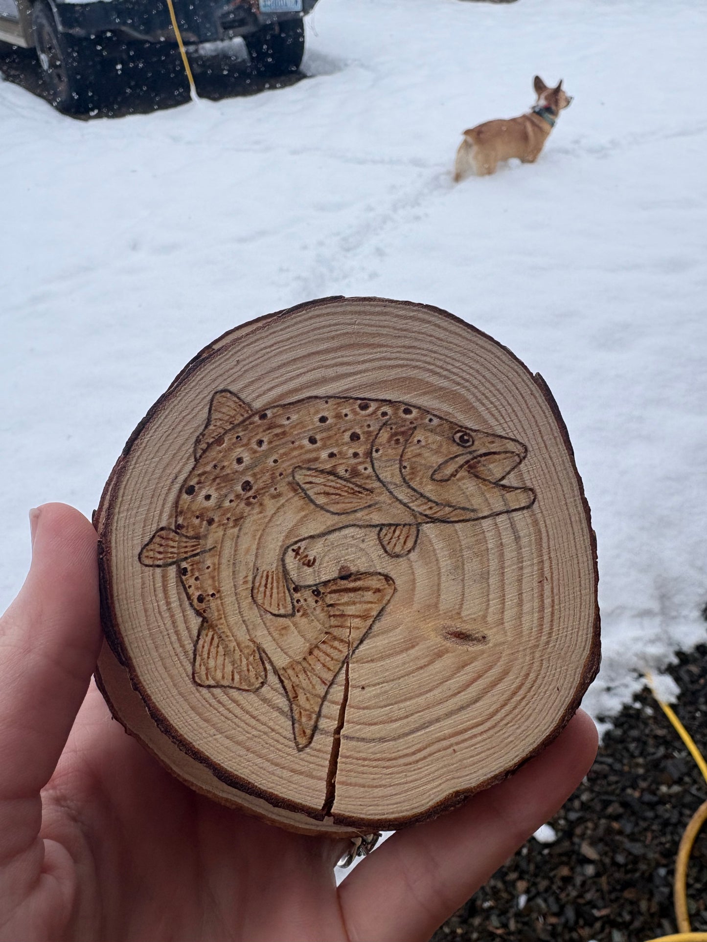Coasters