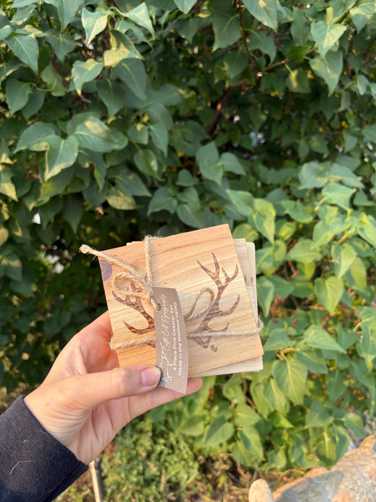 Elk Antler Coaster Set