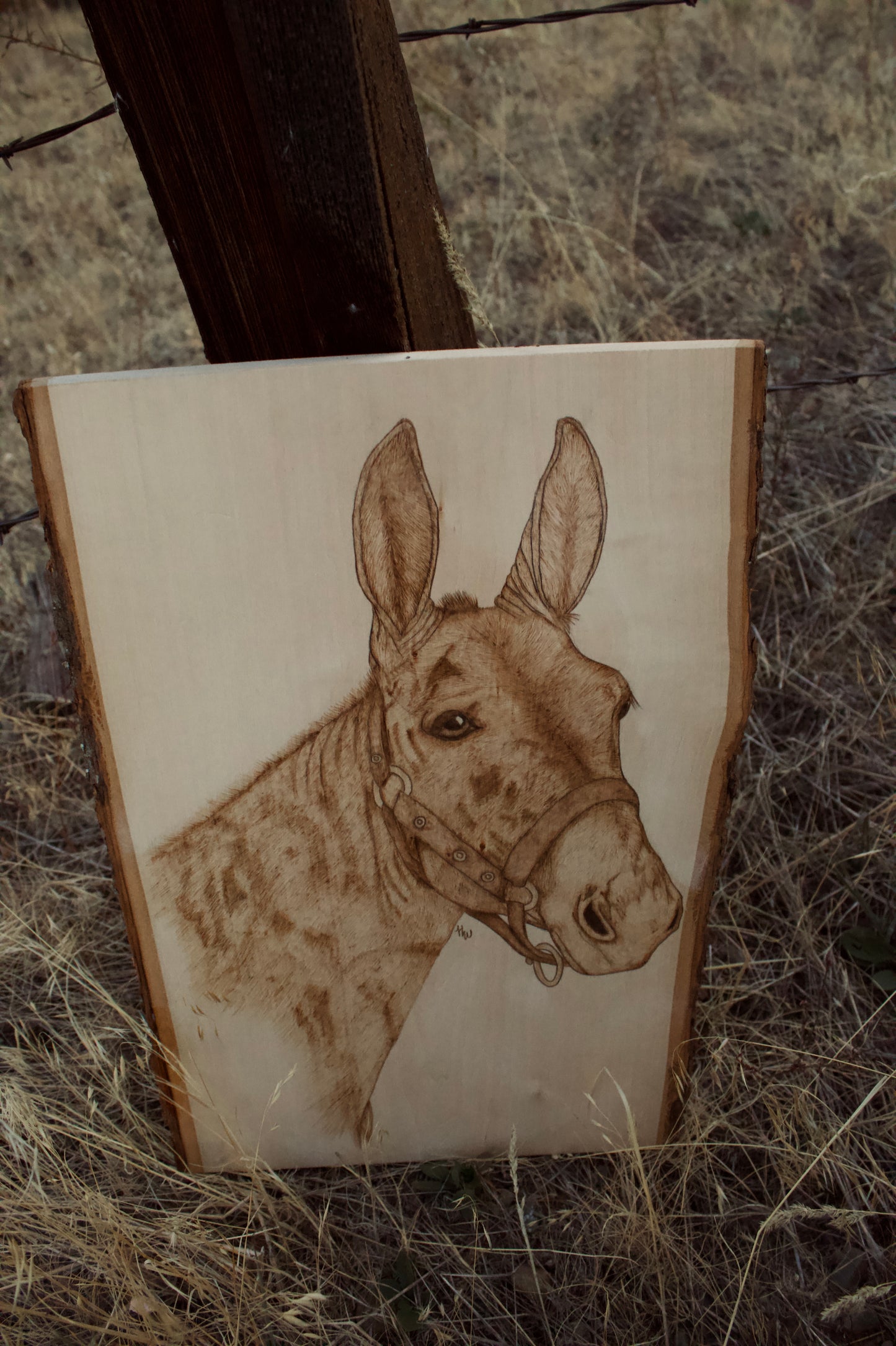 Mule Pyrography Piece