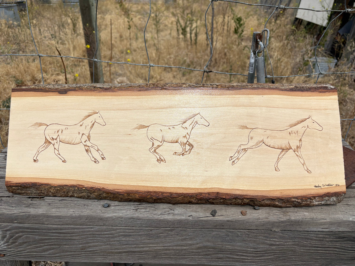 Wild Horses