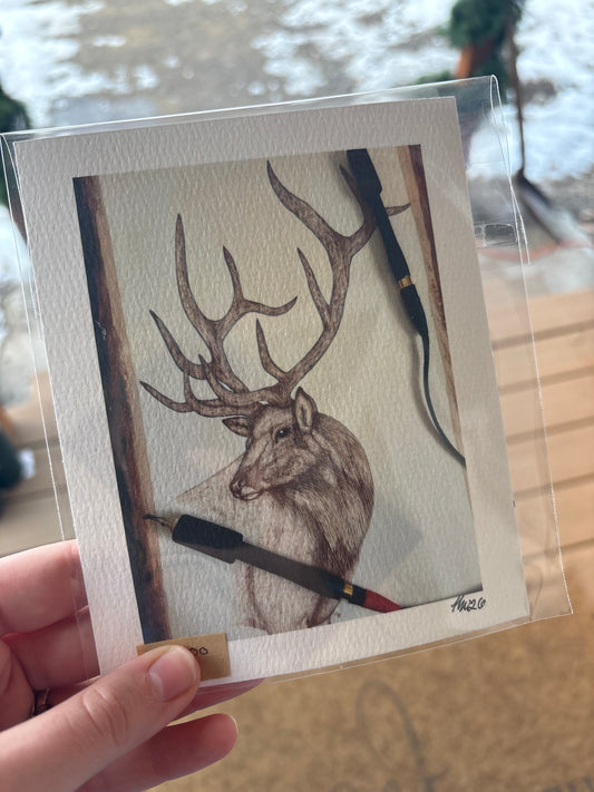 Elk Portrait **Print**