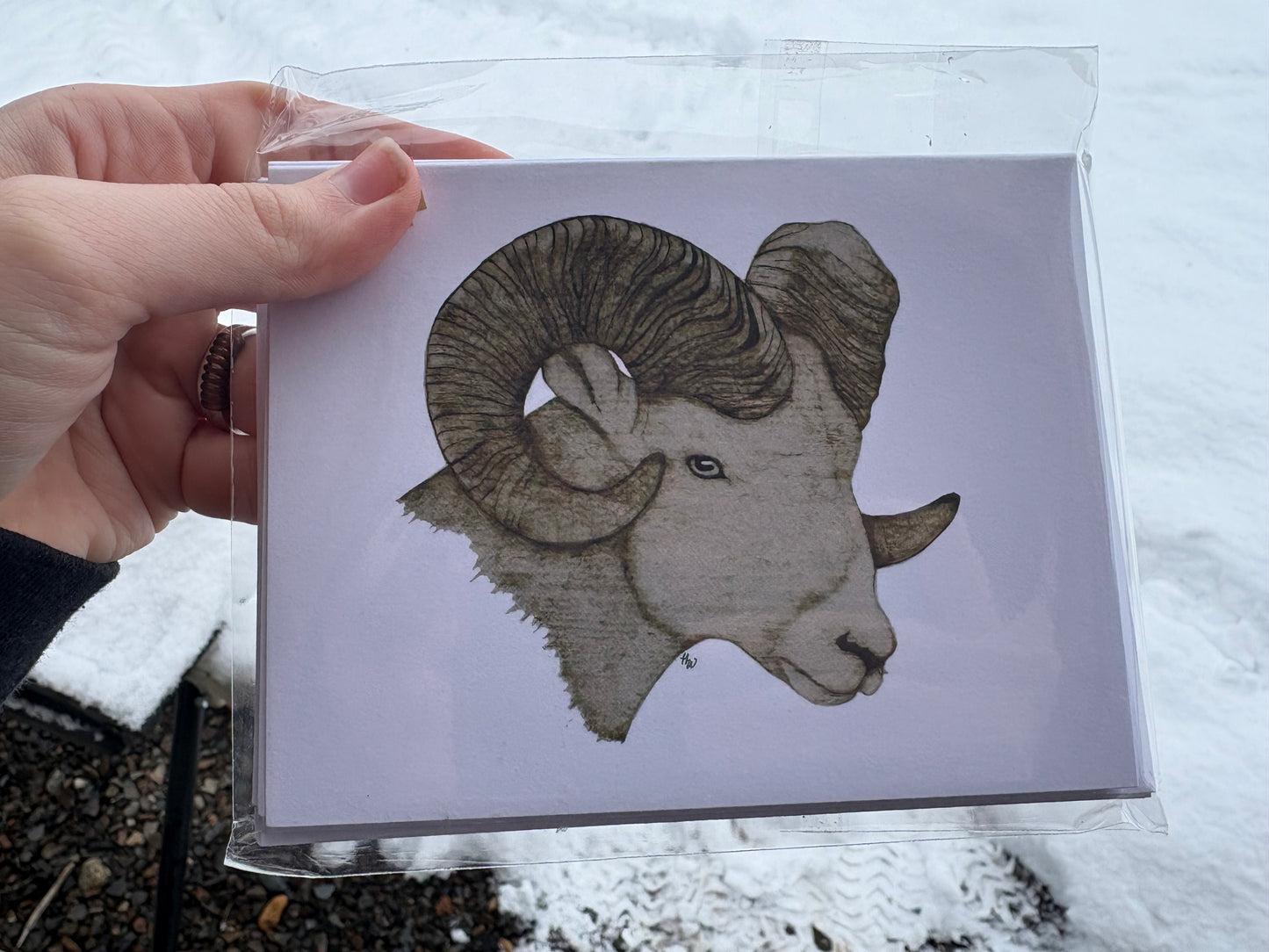 5 Piece Card Set