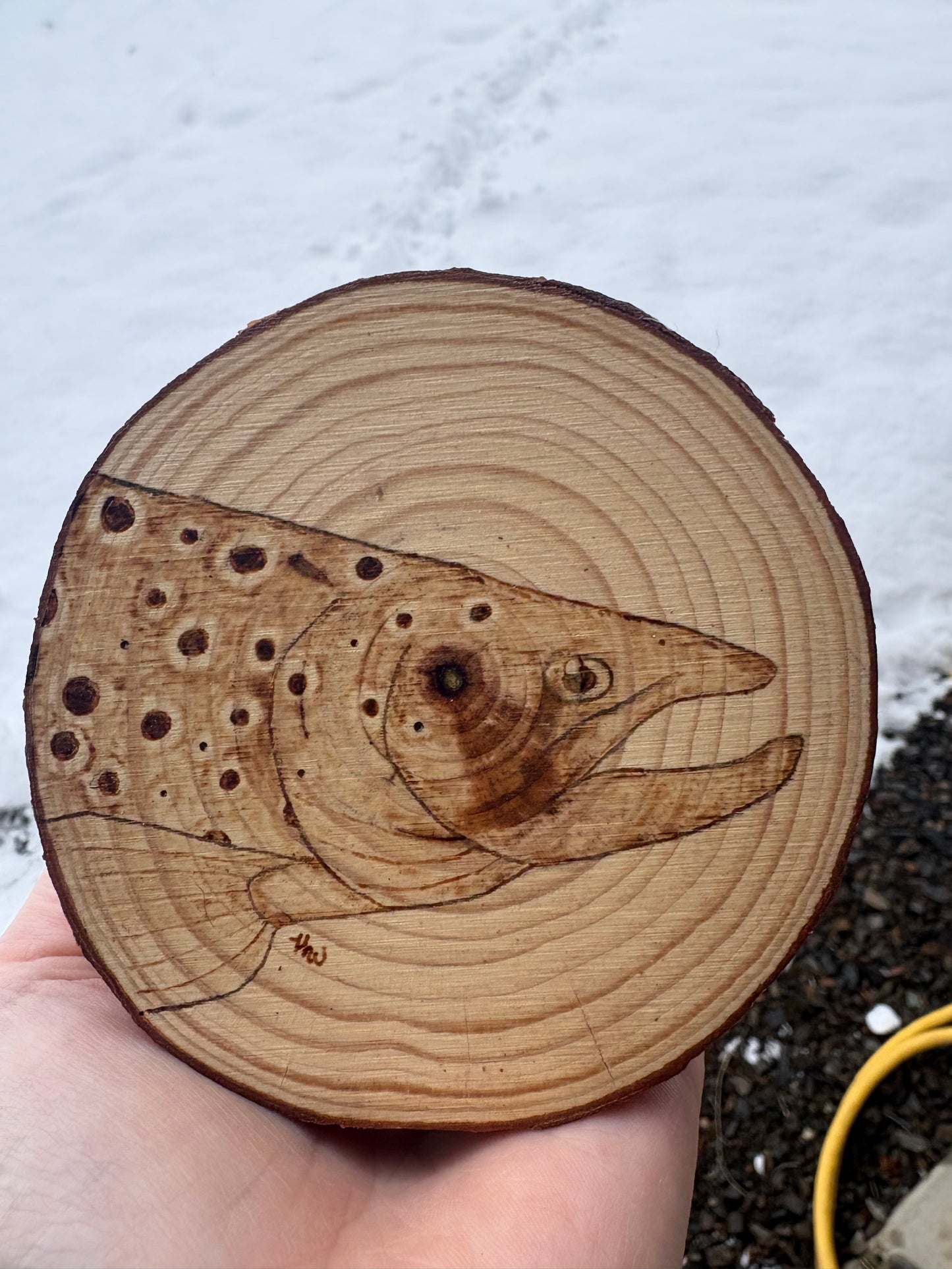 Coasters