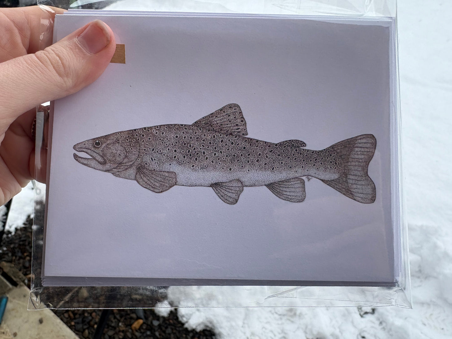 5 Piece Card Set