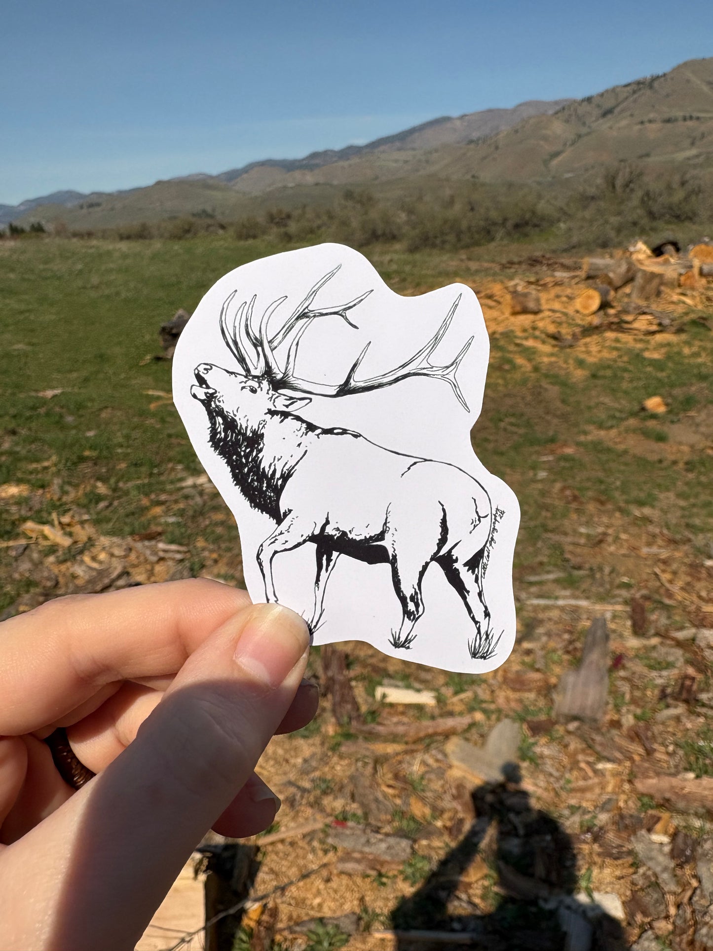 Stickers