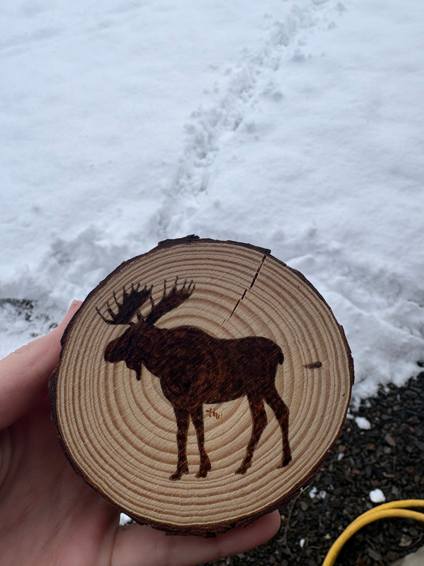 Coasters