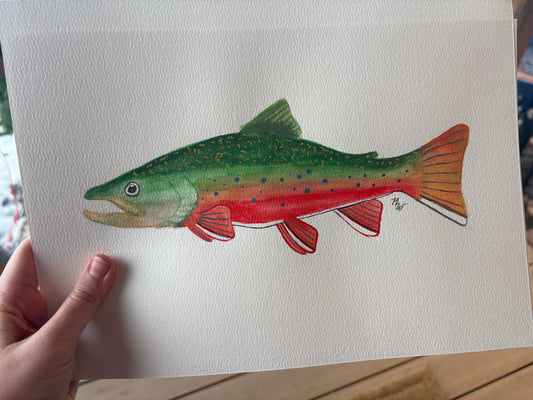 Watercolor Brook Trout