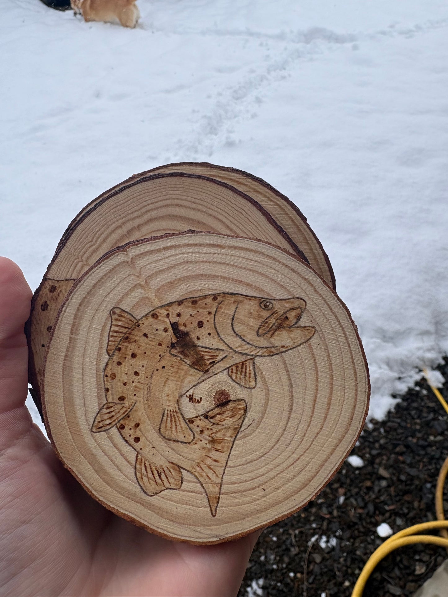 Coasters