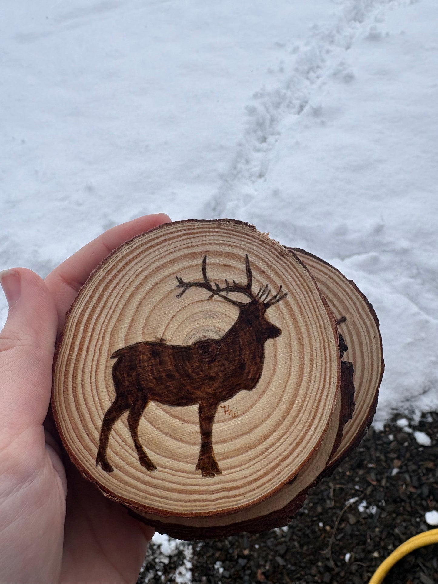 Coasters