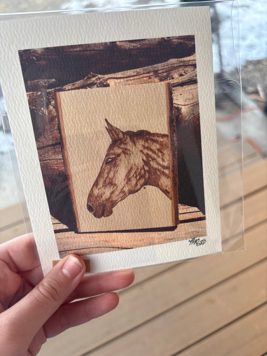 Horse Portrait **Print**