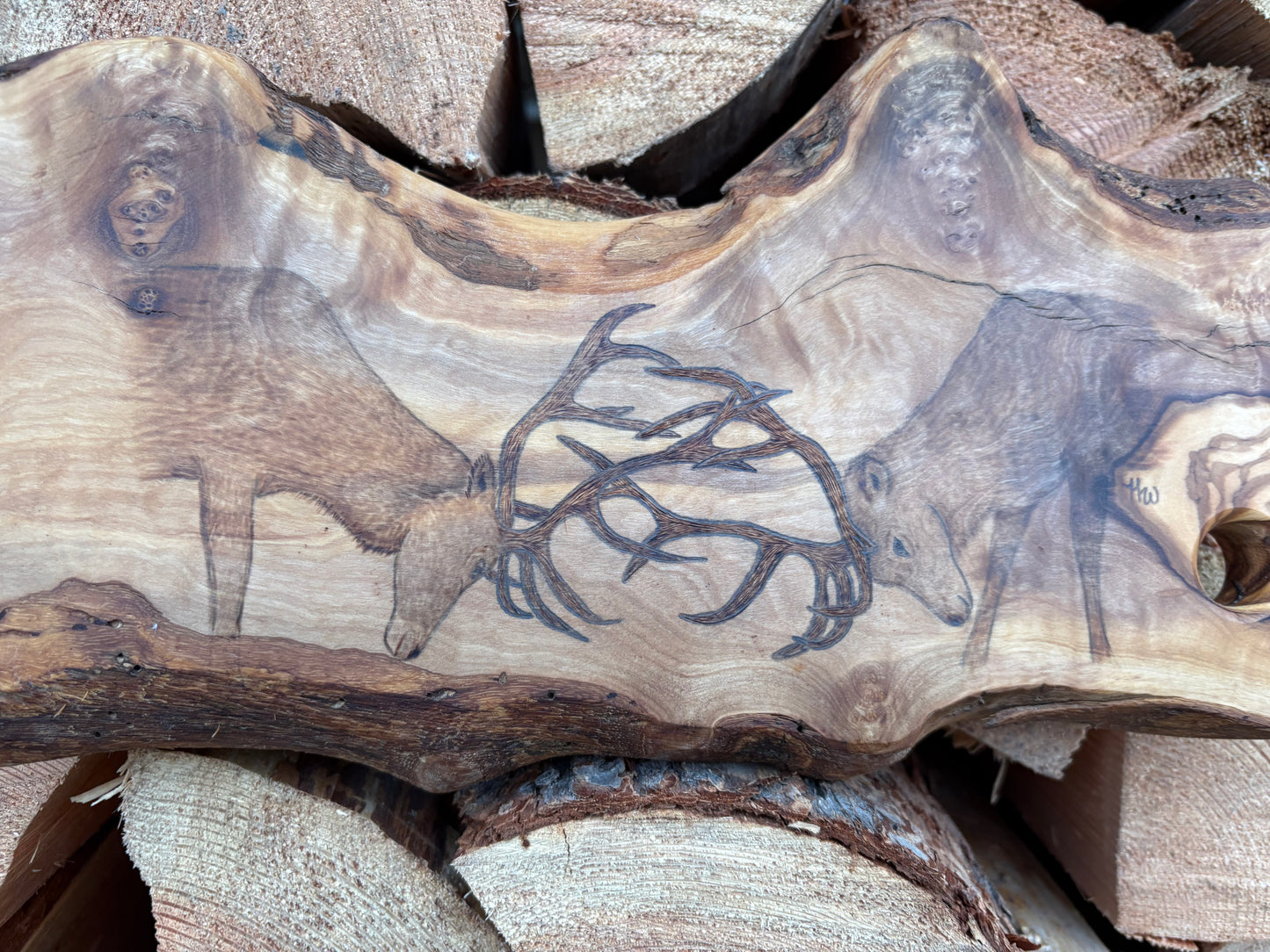 Elk Charcuterie Board