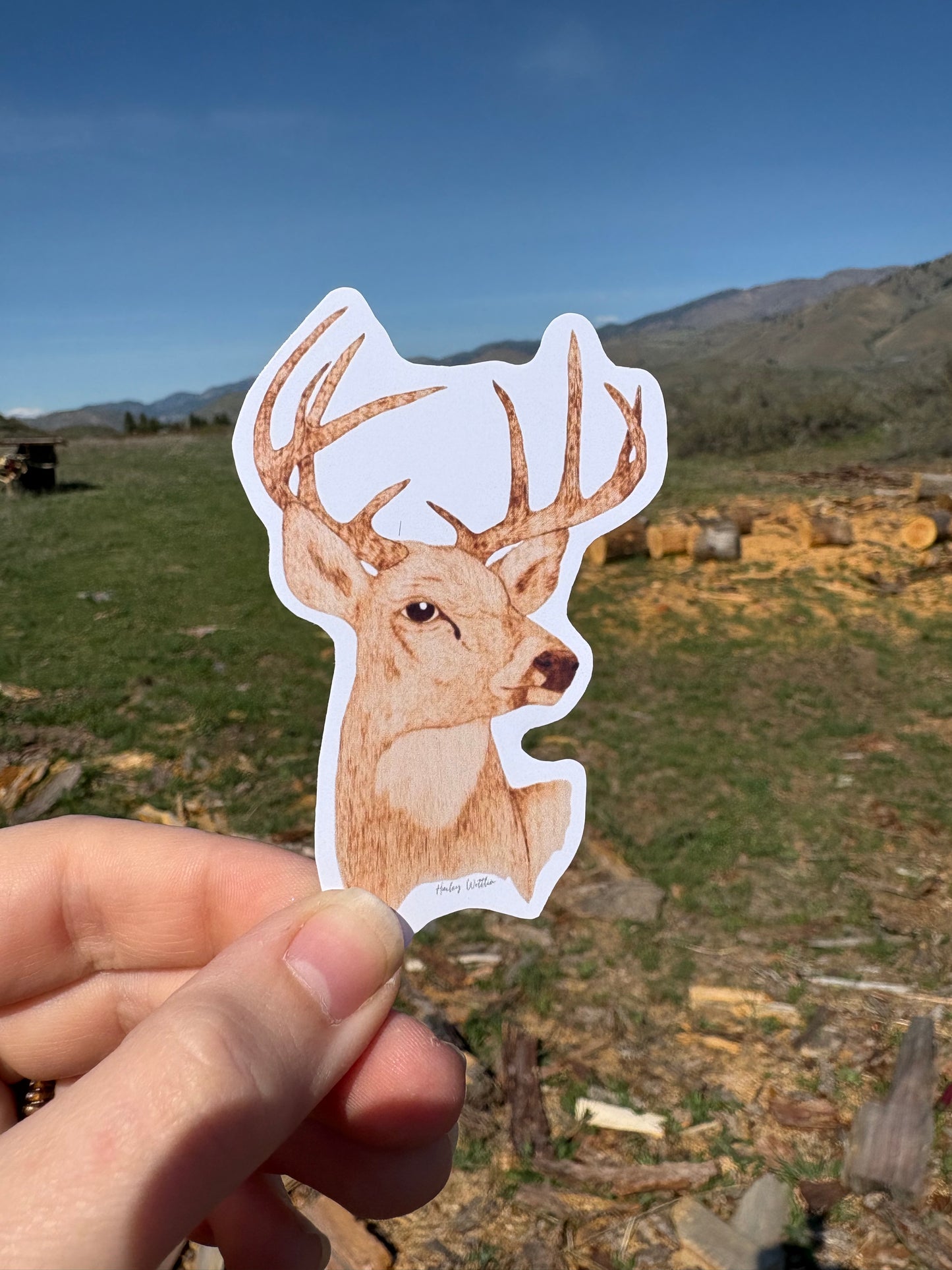Stickers