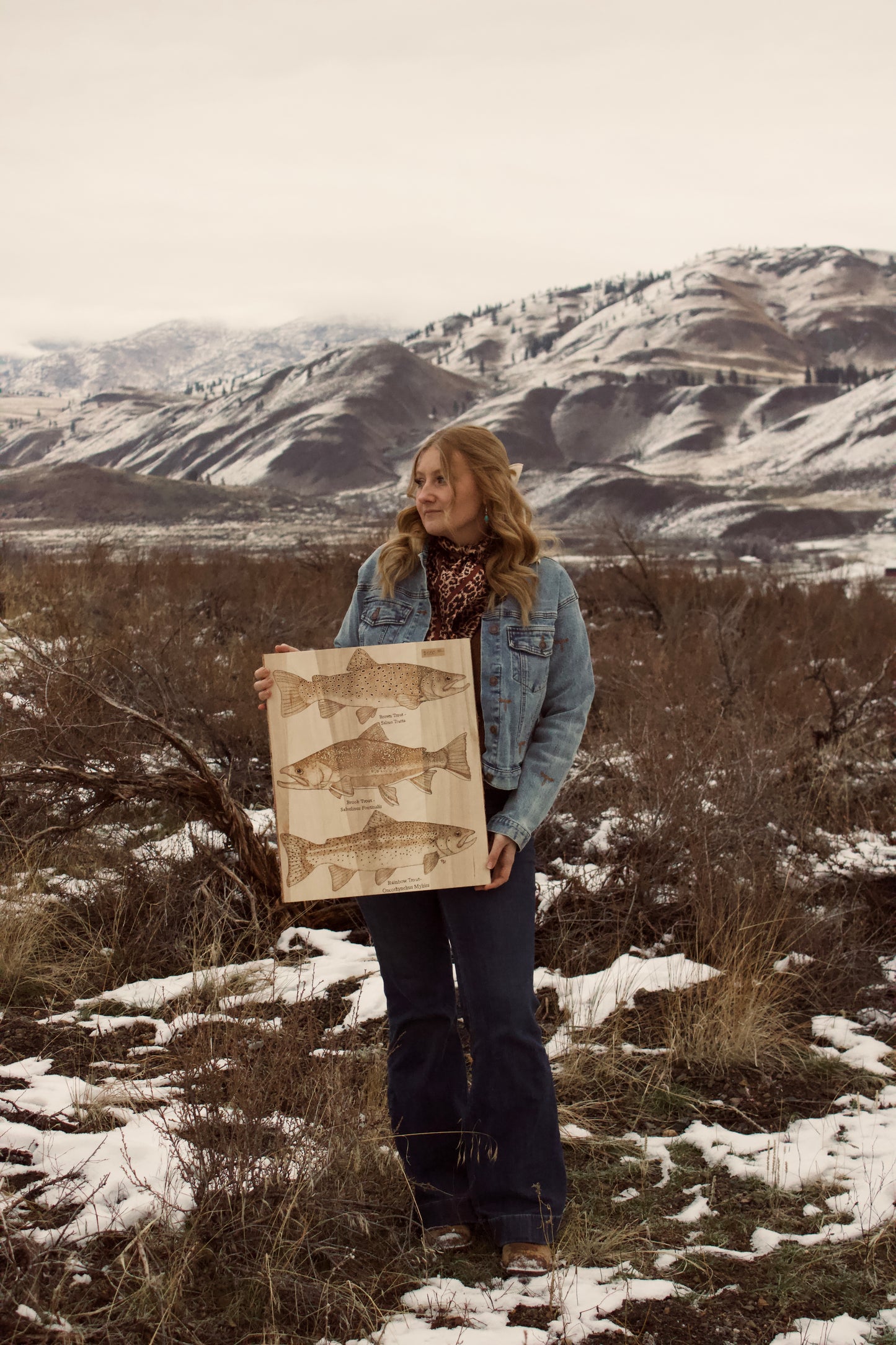 Various Trout Species Art Piece. Brown Trout, Rainbow Trout, Brook Trout.