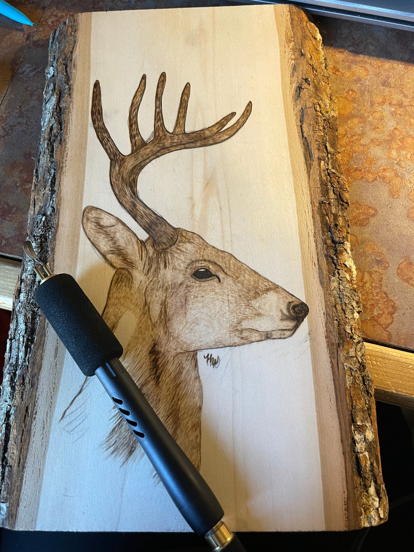 Whitetail Deer Pyrography Piece
