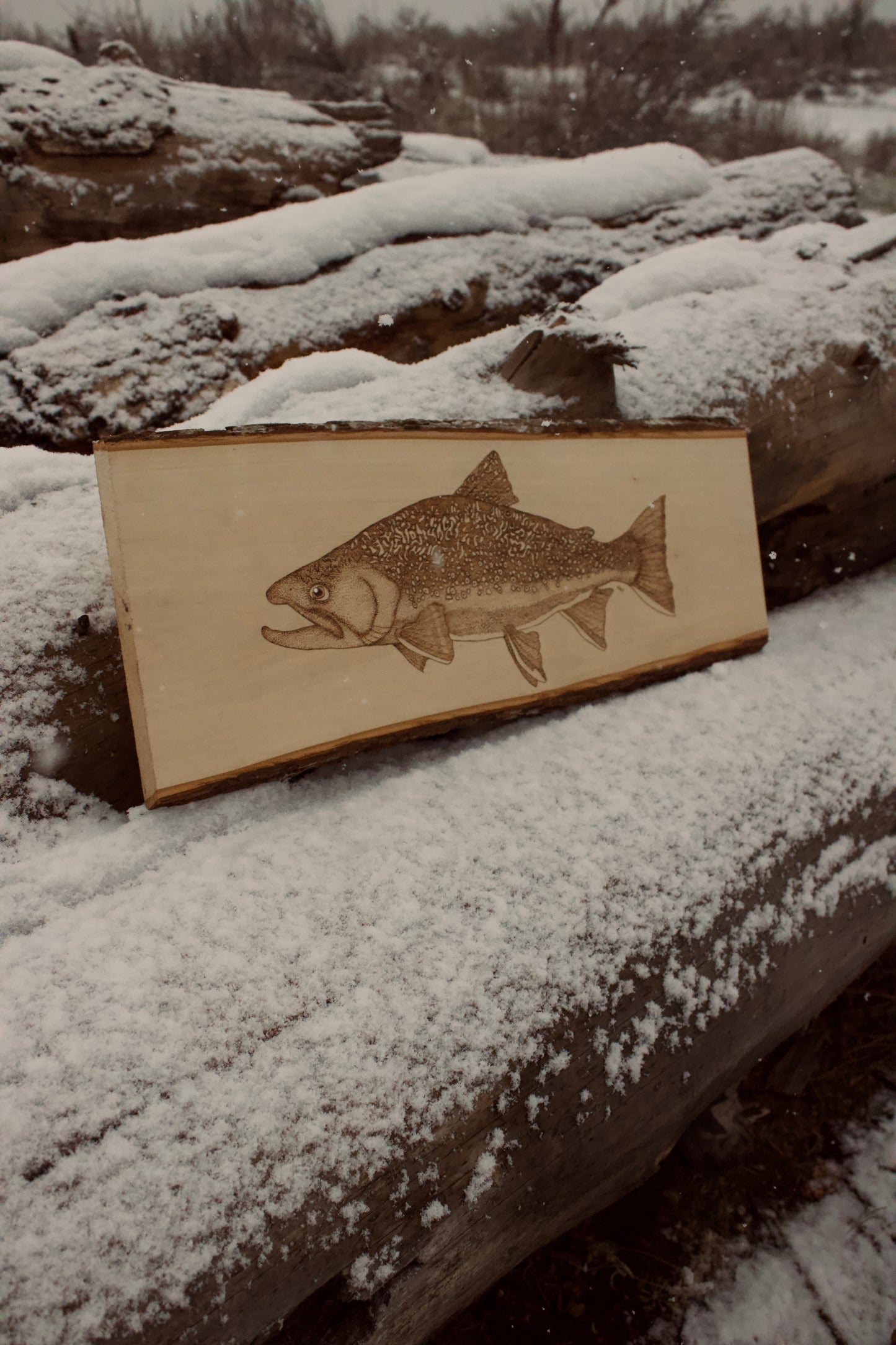 Wood Burned Brook Trout
