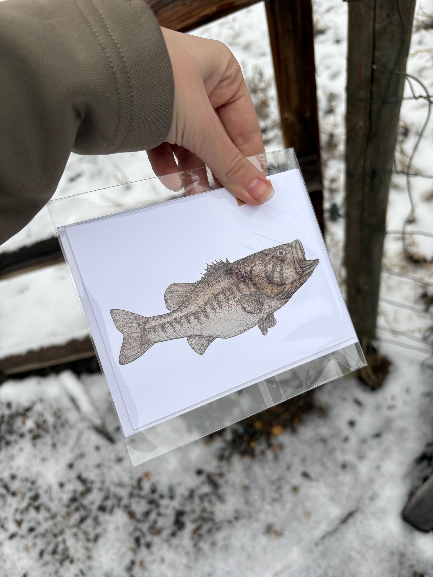 Single Blank Greeting Card