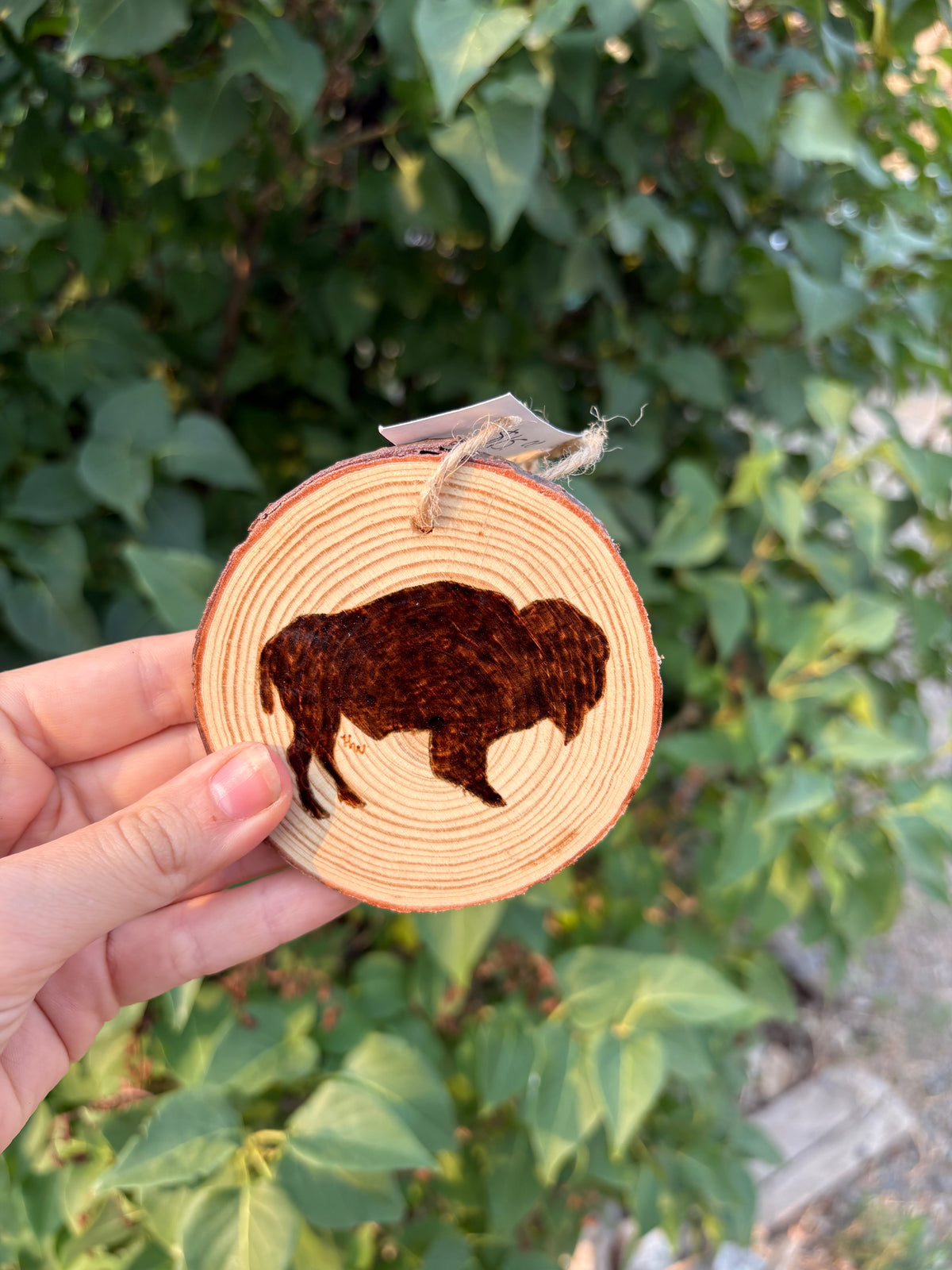 Ornaments- Animal Silhouette
