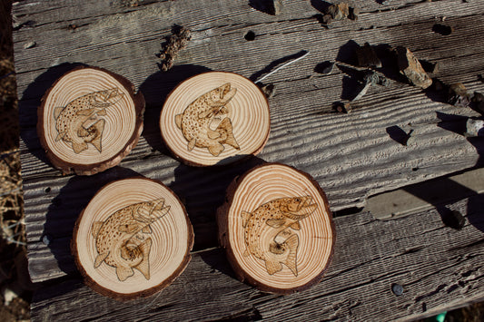 Trout Coasters