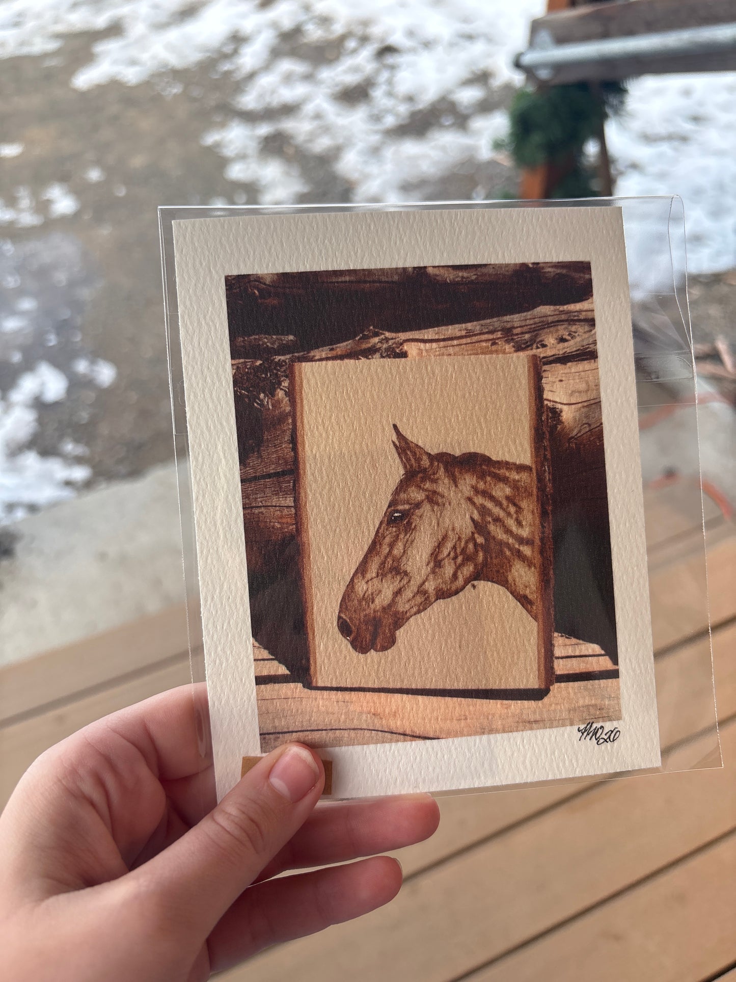 Horse Portrait **Print**