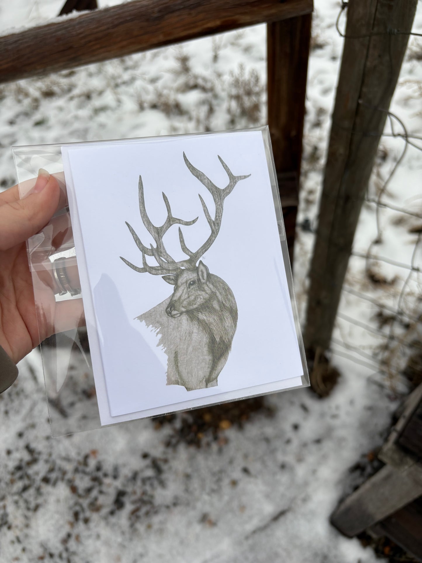 Single Blank Greeting Card