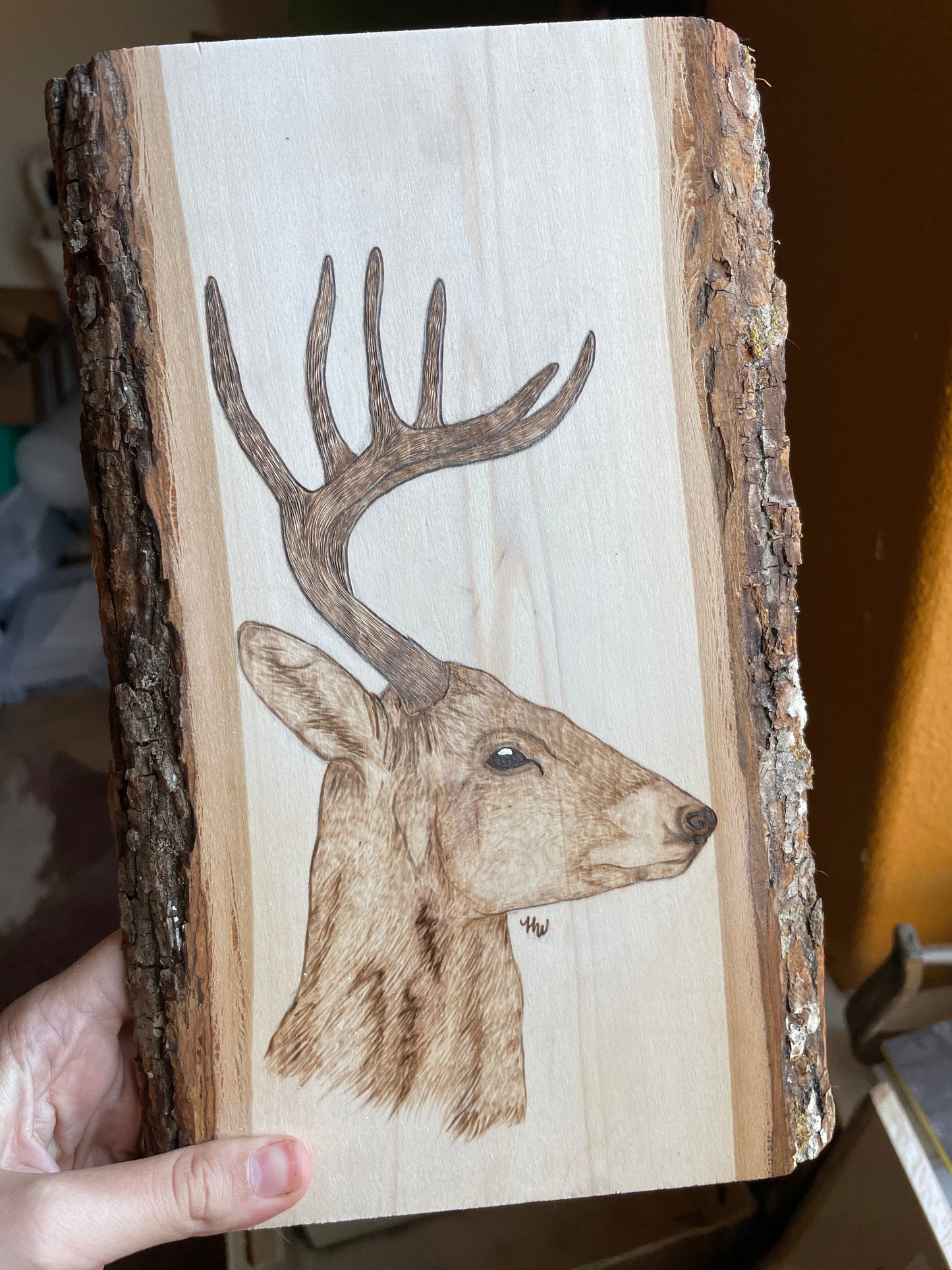 Whitetail Deer Pyrography Piece