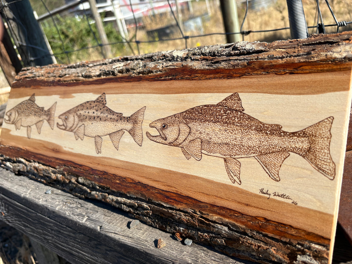 Trout Trio