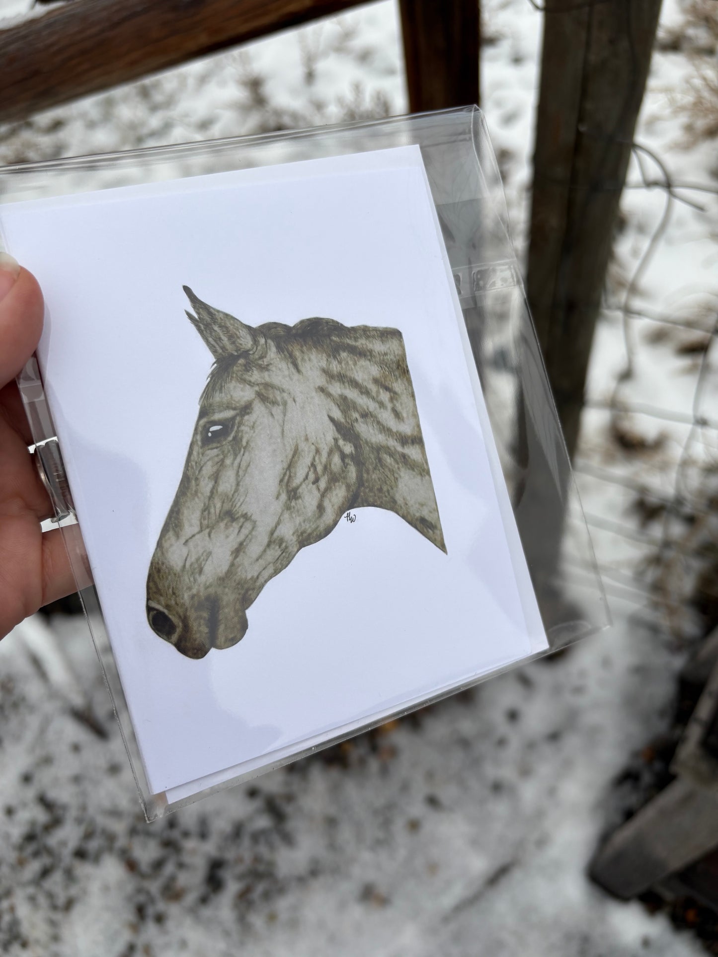 Single Blank Greeting Card