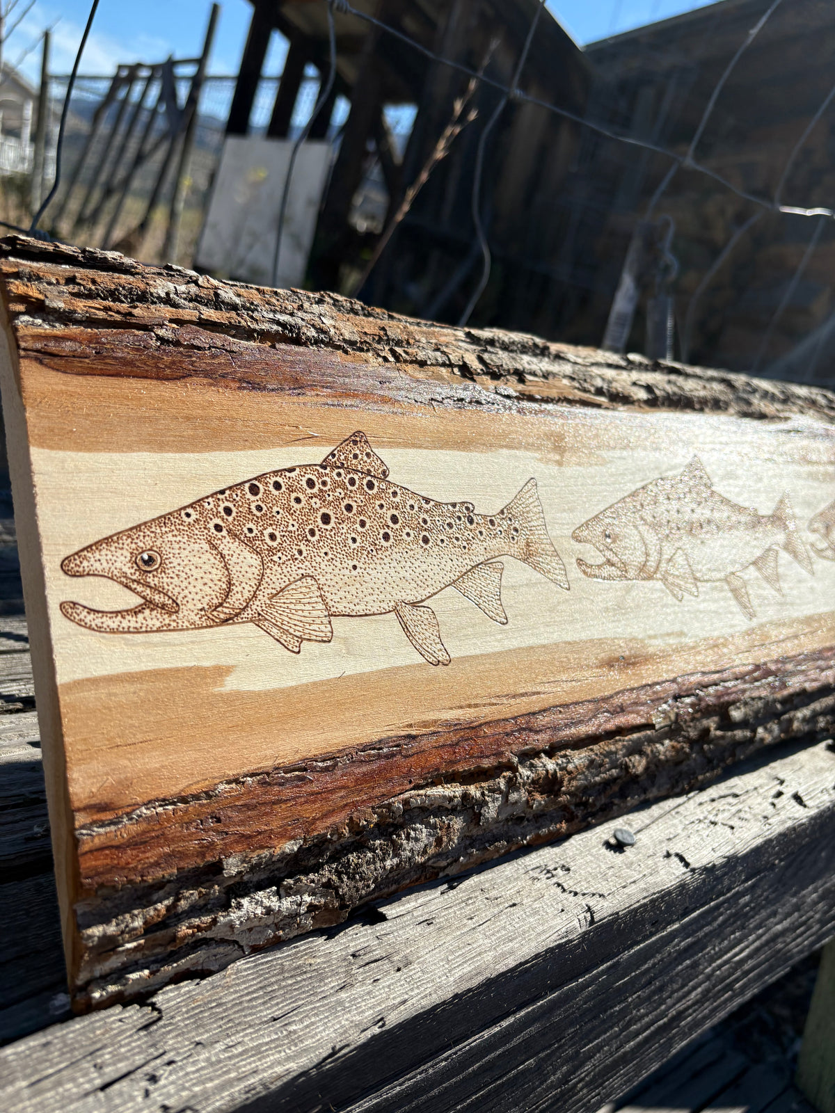 Trout Trio