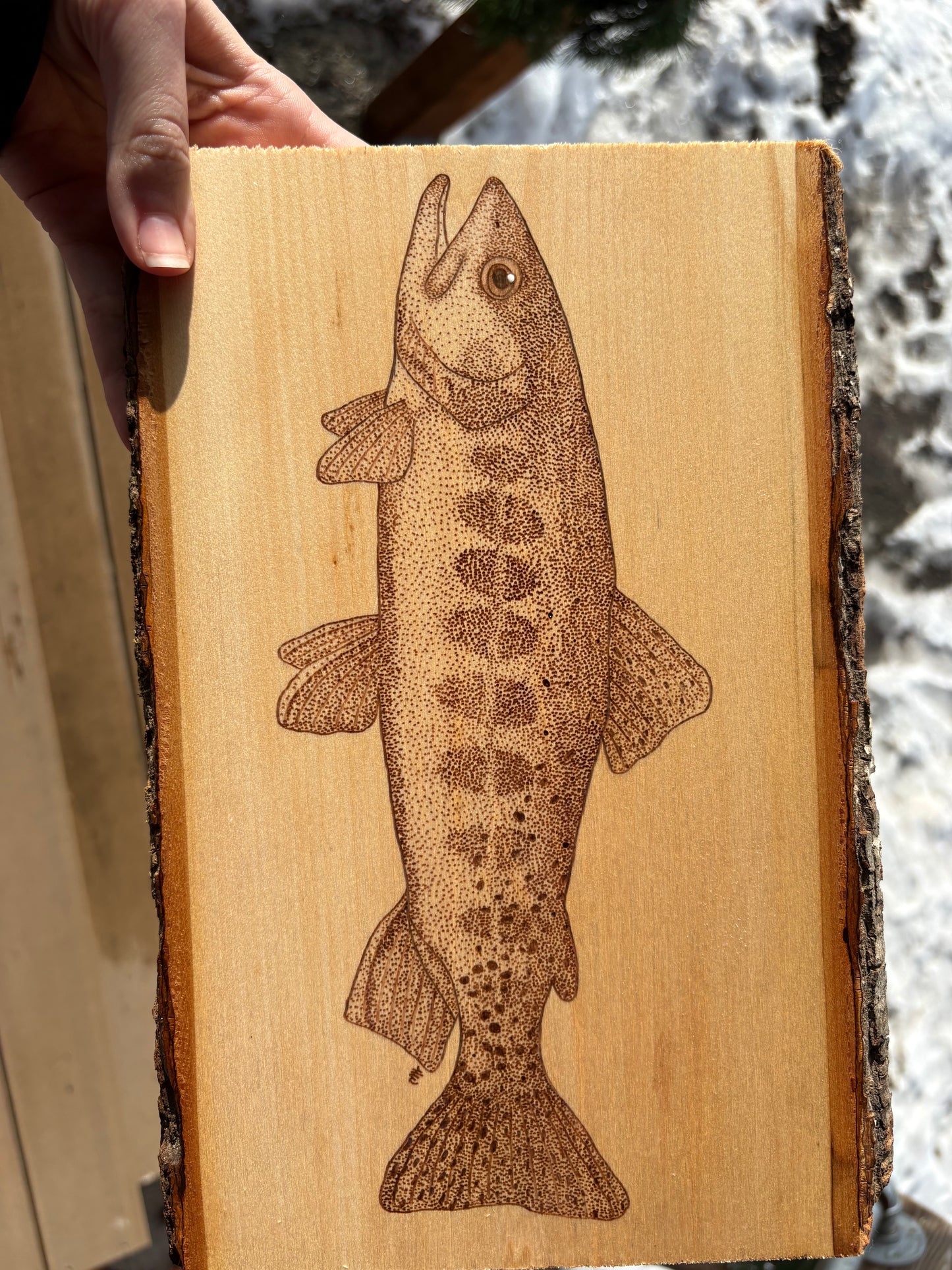 Golden Trout