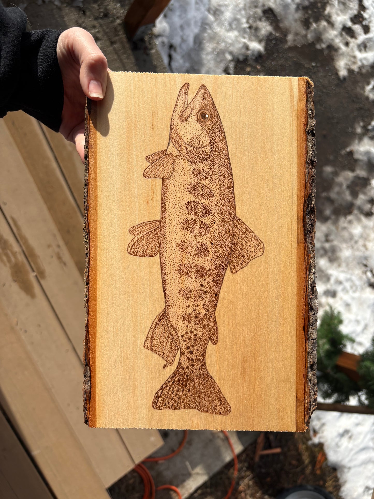 Golden Trout