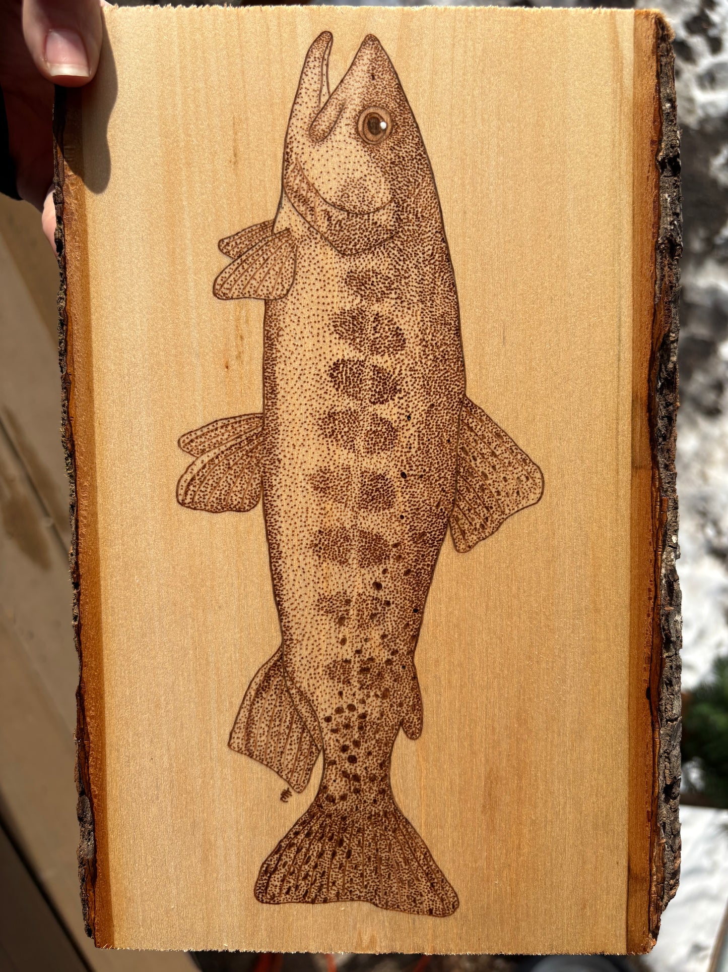 Golden Trout